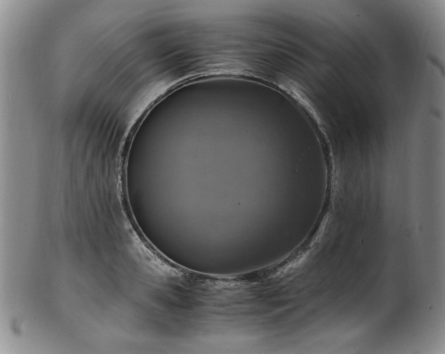 X0000101710941200807101601
