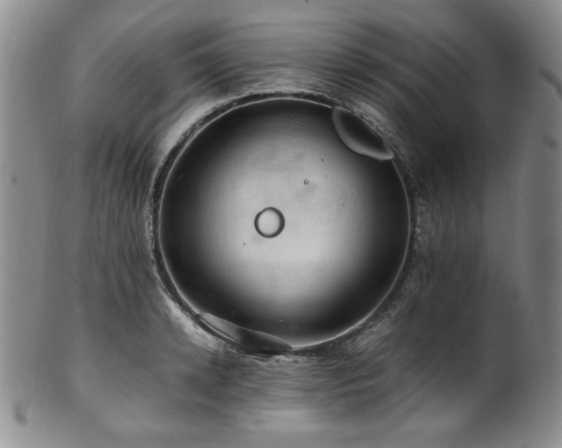 X0000101710942200807101601