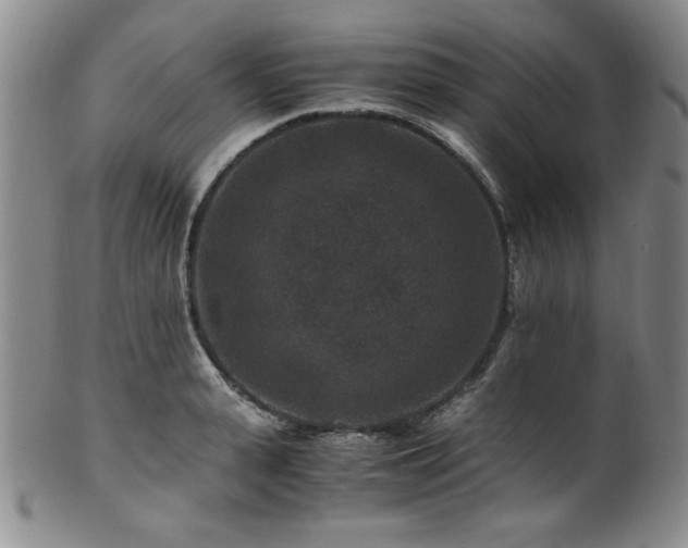 X0000101710943200807101601