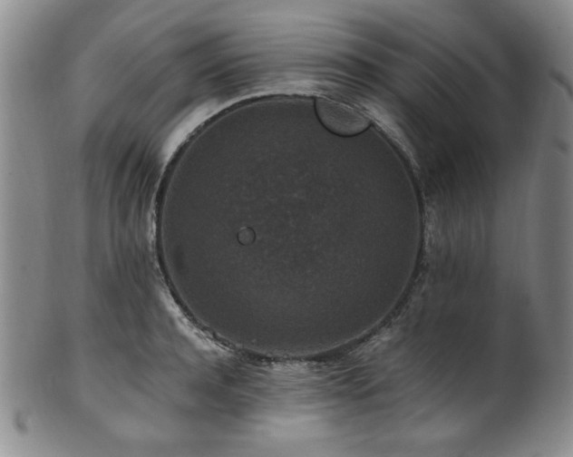 X0000101710944200807101601
