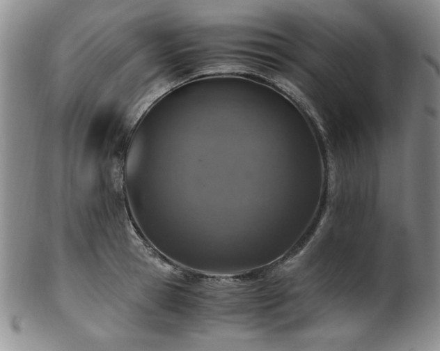 X0000101710945200807101601