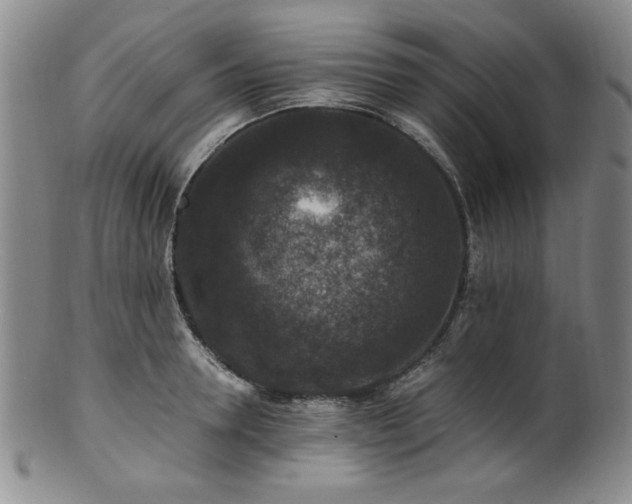 X0000101710946200807101601