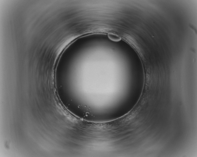 X0000101710948200807101601