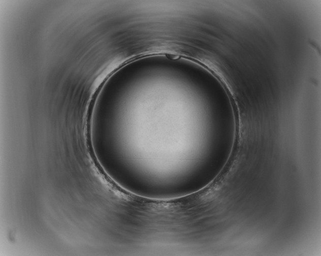 X0000101710949200807101601