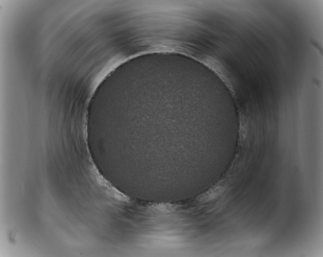 X0000101710950200807101601