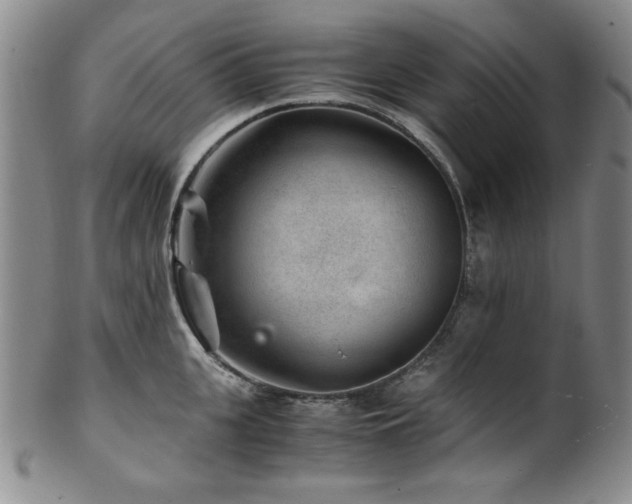 X0000101710951200807101601