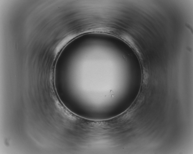 X0000101710952200807101602