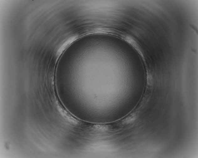 X0000101710954200807101602