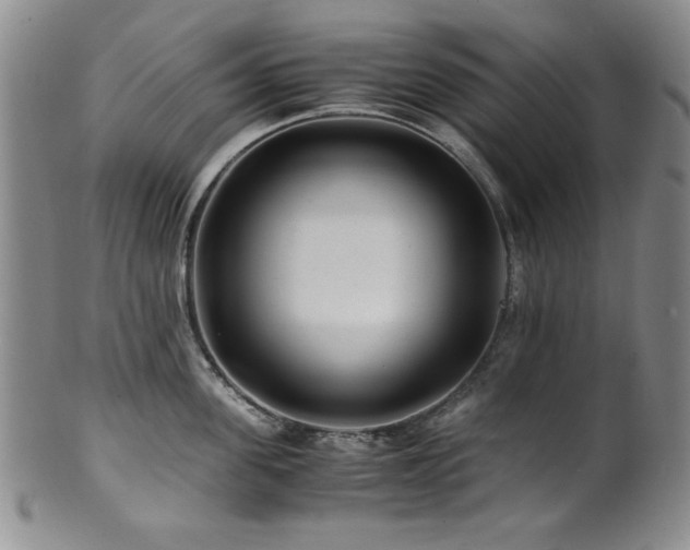X0000101710955200807101602