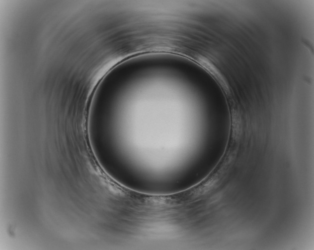 X0000101710956200807101602
