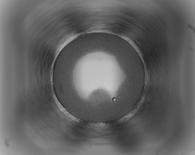 X0000101710957200807101602