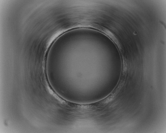 X0000101710958200807101602