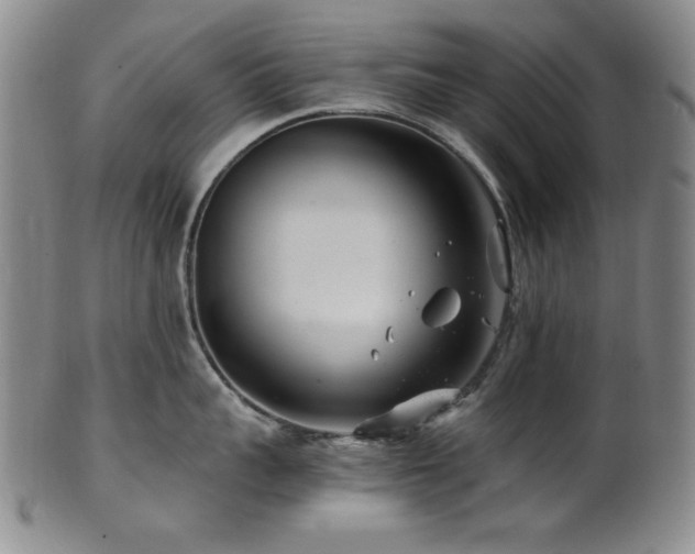 X0000101710959200807101602