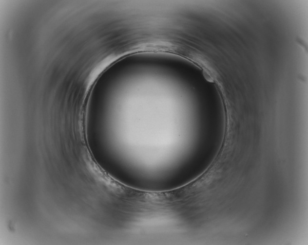 X0000101710960200807101602