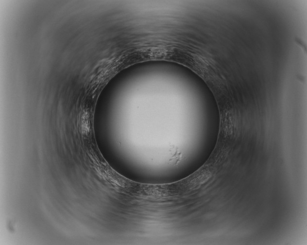 X0000101710962200807101601