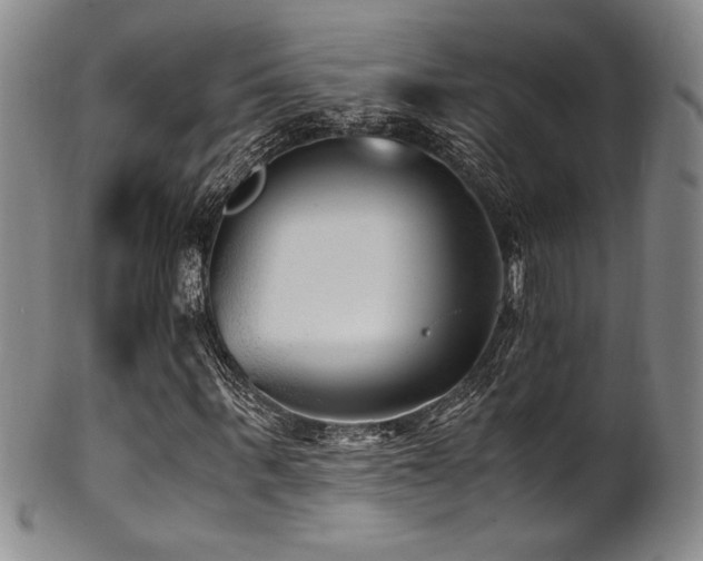 X0000101710963200807101601
