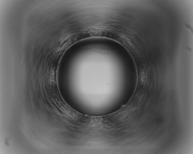 X0000101710964200807101601