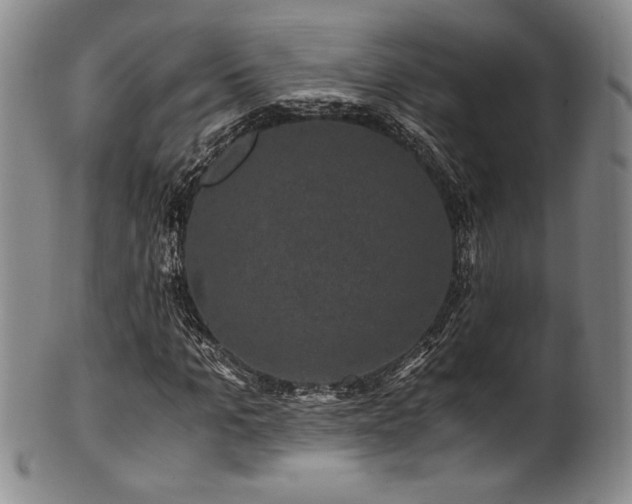 X0000101710965200807101601