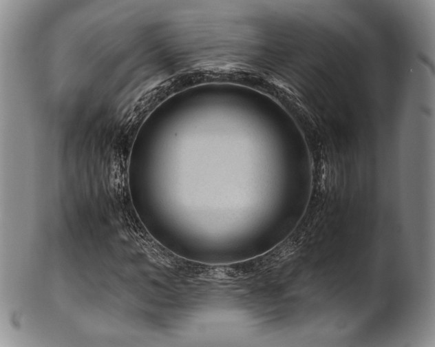 X0000101710966200807101601