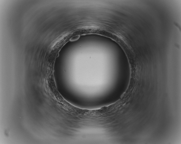 X0000101710967200807101601