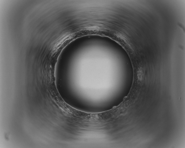 X0000101710968200807101601
