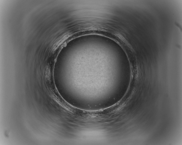 X0000101710969200807101601
