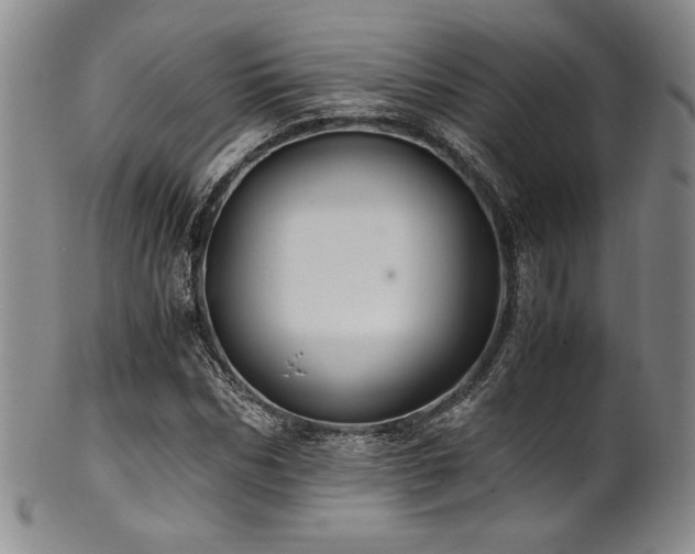 X0000101710970200807101601