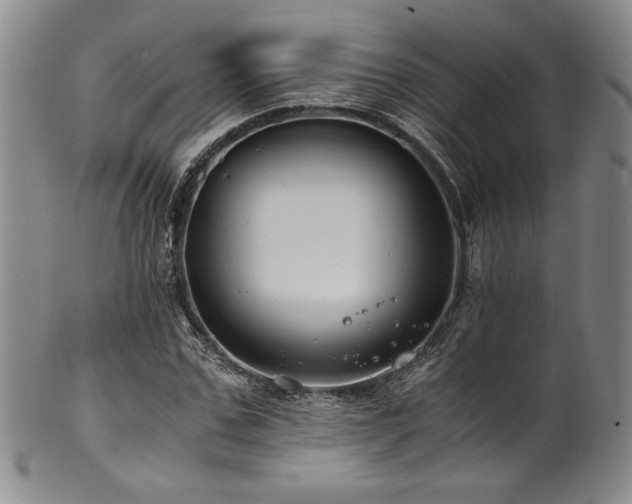 X0000101710971200807101601