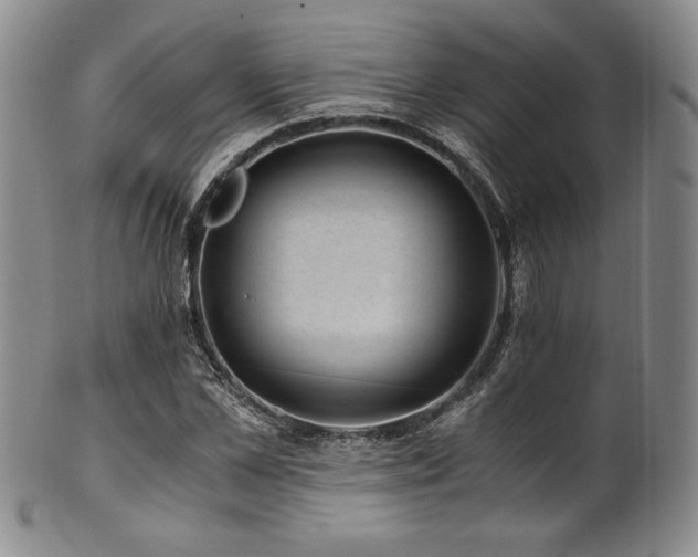 X0000101710973200807101601
