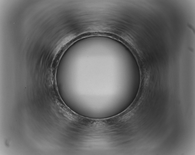 X0000101710974200807101601