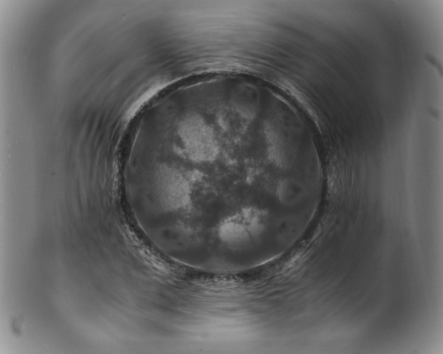X0000101710975200807101601