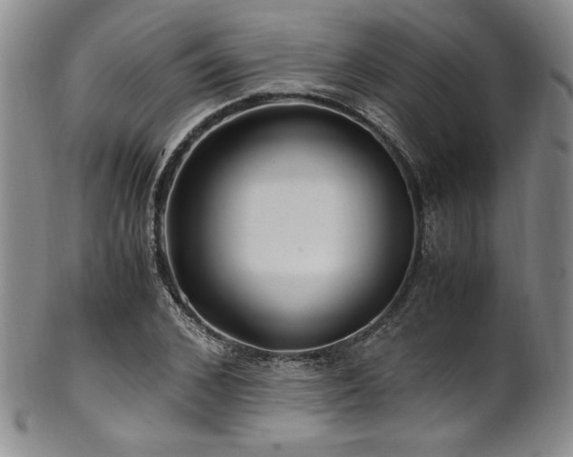 X0000101710976200807101601