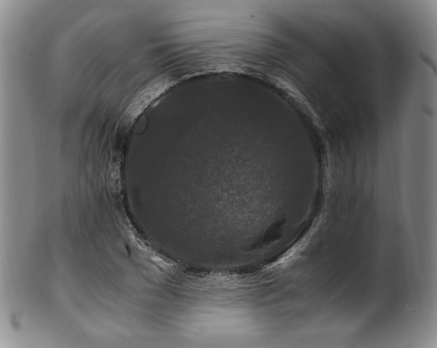 X0000101710977200807101601