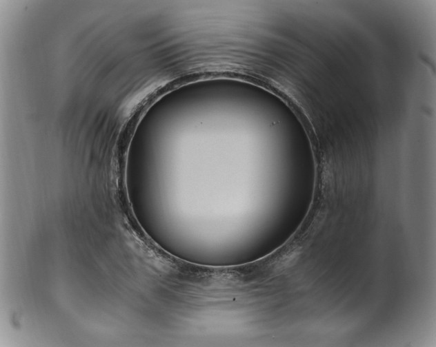 X0000101710979200807101601