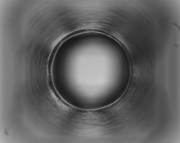 X0000101710980200807101601