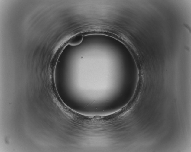 X0000101710981200807101601