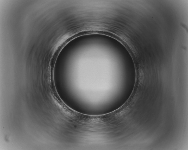 X0000101710982200807101601