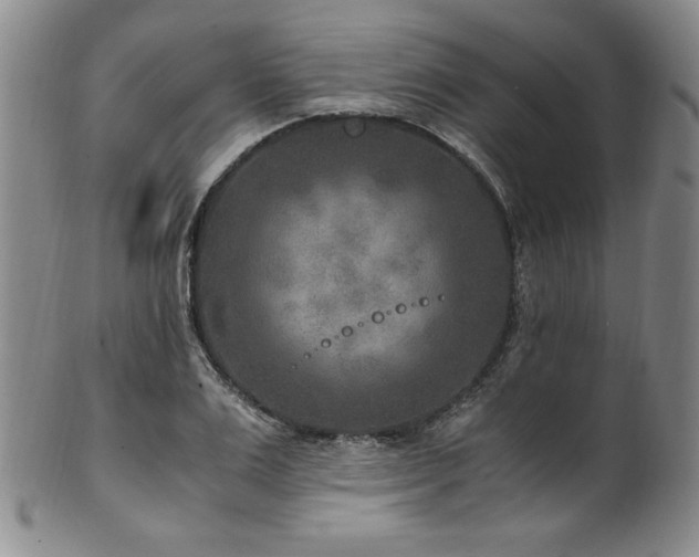 X0000101710983200807101601