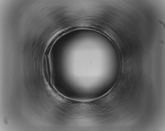 X0000101710984200807101601