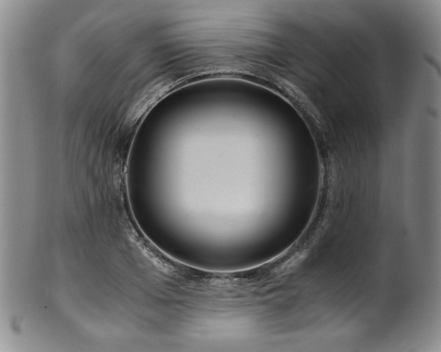 X0000101710985200807101601