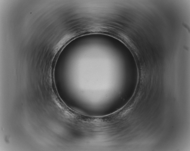 X0000101710986200807101601
