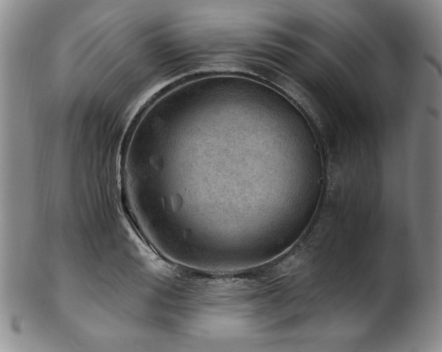 X0000101710988200807101600
