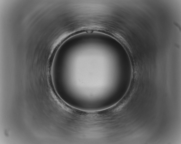X0000101710989200807101600
