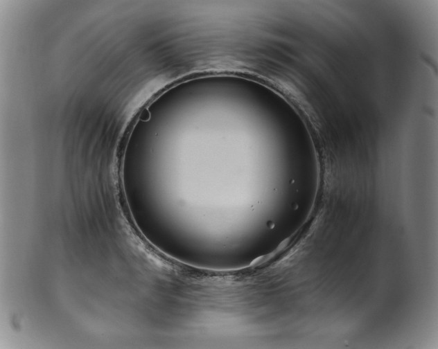 X0000101710990200807101600
