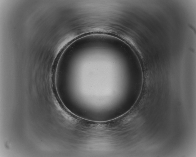 X0000101710991200807101600
