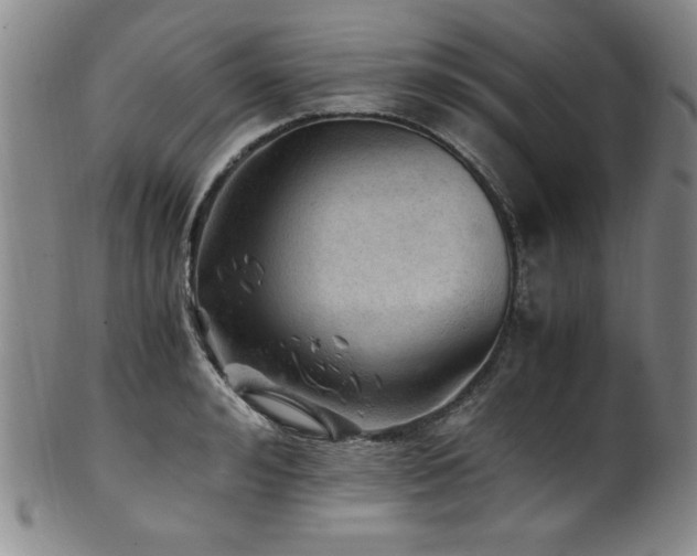 X0000101710992200807101600