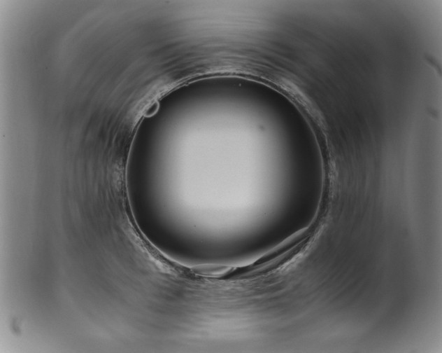 X0000101710993200807101600