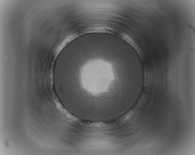 X0000101710994200807101600