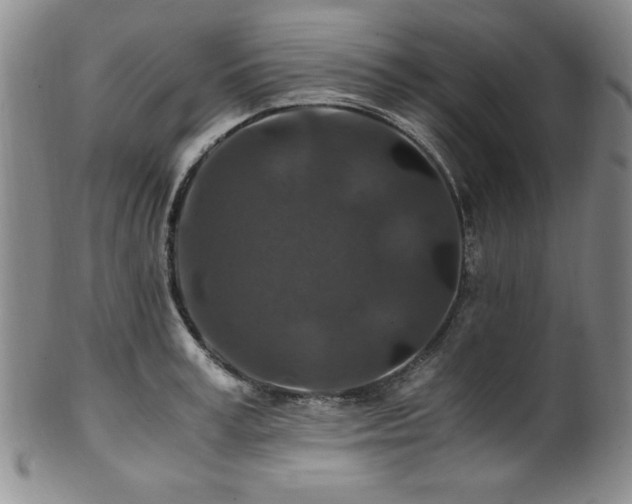 X0000101710995200807101600