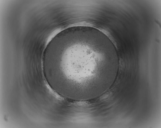 X0000101710998200807101600